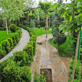 saglyg daça саглык дача