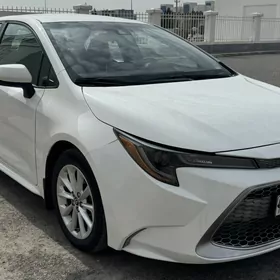 Toyota Corolla 2020