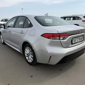 Toyota Corolla 2023
