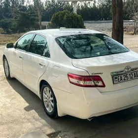 Toyota Camry 2010