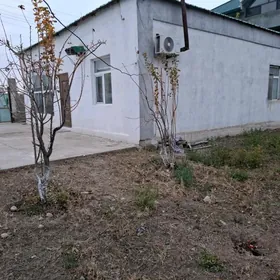 Magtymguly Jaý | 8 sotok