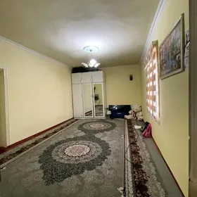 Satlyk jay Howly 10sotga