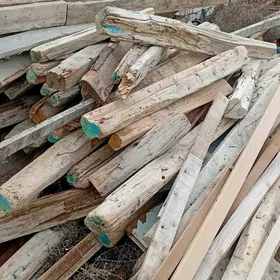 odunlyk agac onysyk bolar