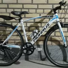 Tigi arginal Japan welsopet