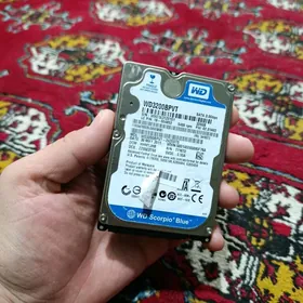 GYSAGLY SATLYK JOSKI DISK 320G