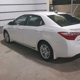 Toyota Corolla 2014
