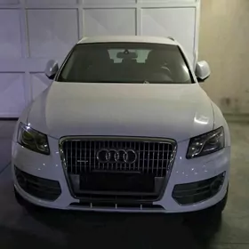 Audi Q5 2009