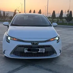 Toyota Corolla 2024
