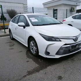 Toyota Corolla 2022