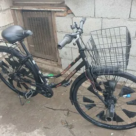 yaposga  27.1yaposga /138