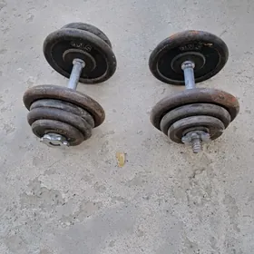 Döş işlenýän trenazor