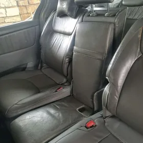 SiYena sidenYa ortaky kici