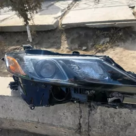 satlyk far 2019 kamry