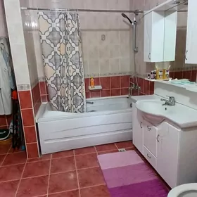 Gogol poluelitka 2 kom