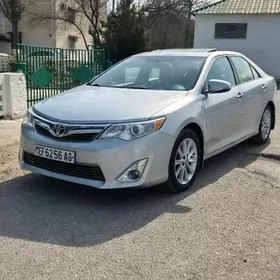 Toyota Camry 2013