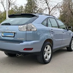 Lexus RX 330 2005