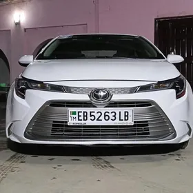 Toyota Corolla 2023