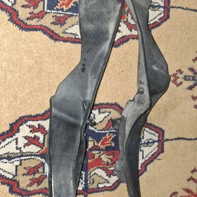 Tayota aziyada kemrin  zatlary