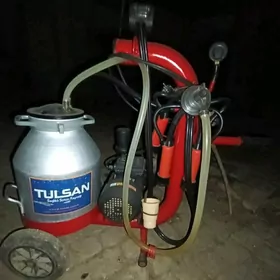 Сельское хозяйство