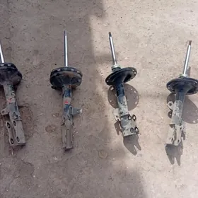 Amatizator haylandor