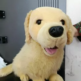 мягкие игрушки,oyunjaklar