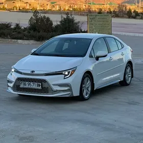 Toyota Corolla 2024
