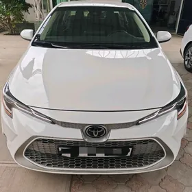 Toyota Corolla 2022