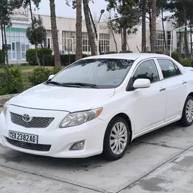 Toyota Corolla 2010