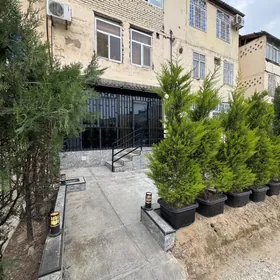 9 mkr 1 etaž 3 kom full paket