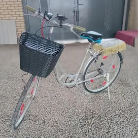 26 lyk Welosipet ‍♂️