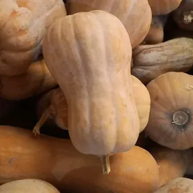 Kädi   кади тиква