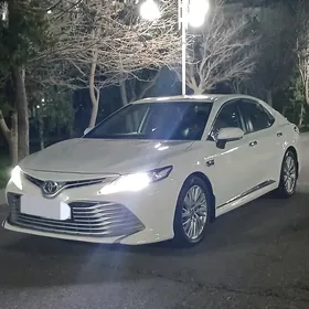 Toyota Camry 2019