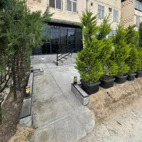 9 MKR  1 ET 3 KOM FULL