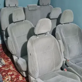 sidenýe sienna 2017