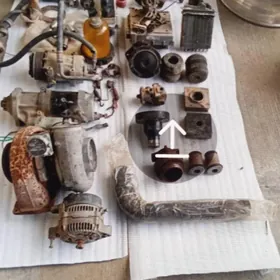 fredlandyr tirin zapjaslary