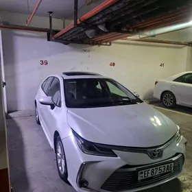 corolla fara bamper obmen bar