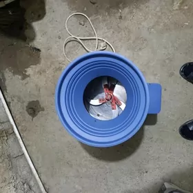 овощезезка