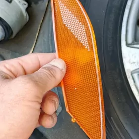 okuz kele 2008 icki lupa