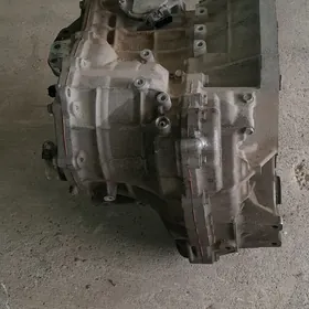 Corolla karopka 2022