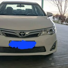 Toyota Camry 2013