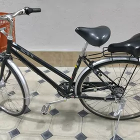 Tigir Ýapoşga welik