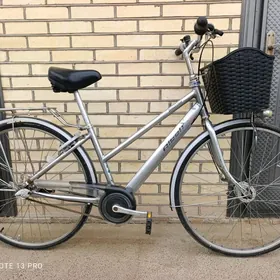 Brijiston 27 Albelt remen