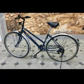 tigir Ýapoşga welik