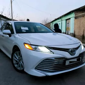 Toyota Camry 2020