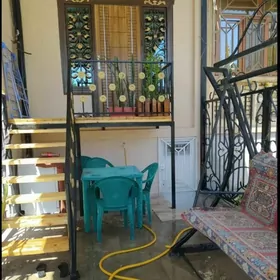 nawes resotka kacelya lesnisa