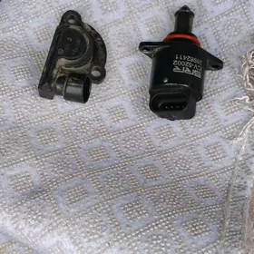 balyk gulak malaborot datçik