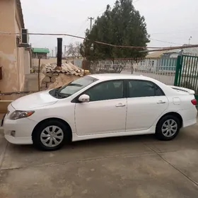 Toyota Corolla 2010