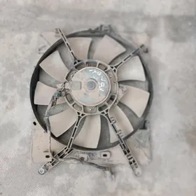 каролла винтилятр