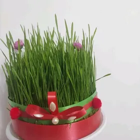 сямяни для новруза