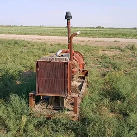 Altaý nasos dizilni